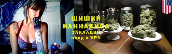 не бодяженный Горно-Алтайск