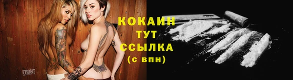 не бодяженный Горно-Алтайск