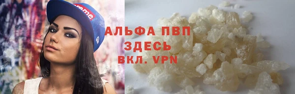 стаф Горнозаводск