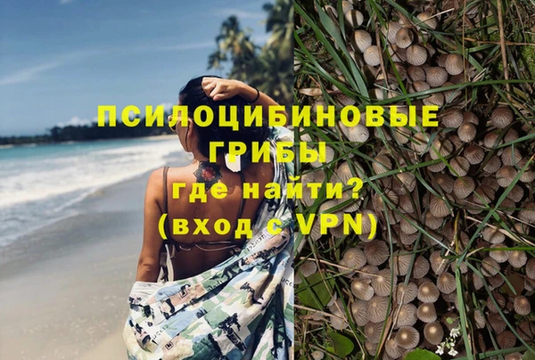 не бодяженный Горно-Алтайск