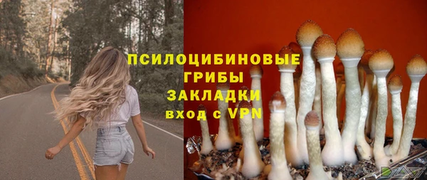 стаф Горнозаводск