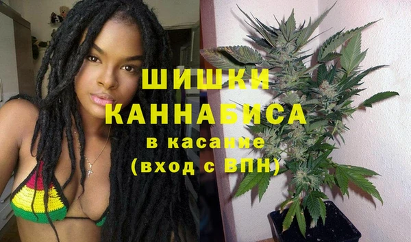 стаф Горнозаводск