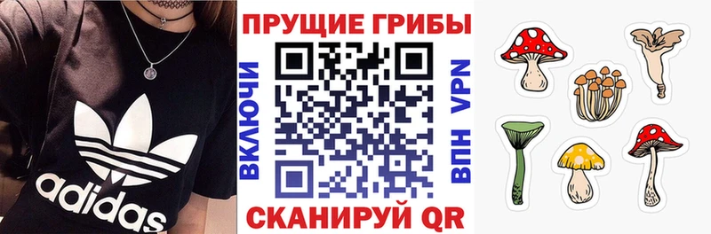 Псилоцибиновые грибы мухоморы  Купить  Рубцовск 
